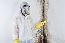 Best Mold Remediation for Healthcare Facilities  in White Sands, NM